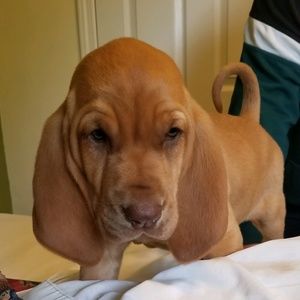 Meet your Posher, Gena